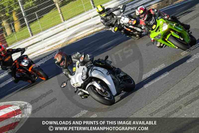 brands hatch photographs;brands no limits trackday;cadwell trackday photographs;enduro digital images;event digital images;eventdigitalimages;no limits trackdays;peter wileman photography;racing digital images;trackday digital images;trackday photos